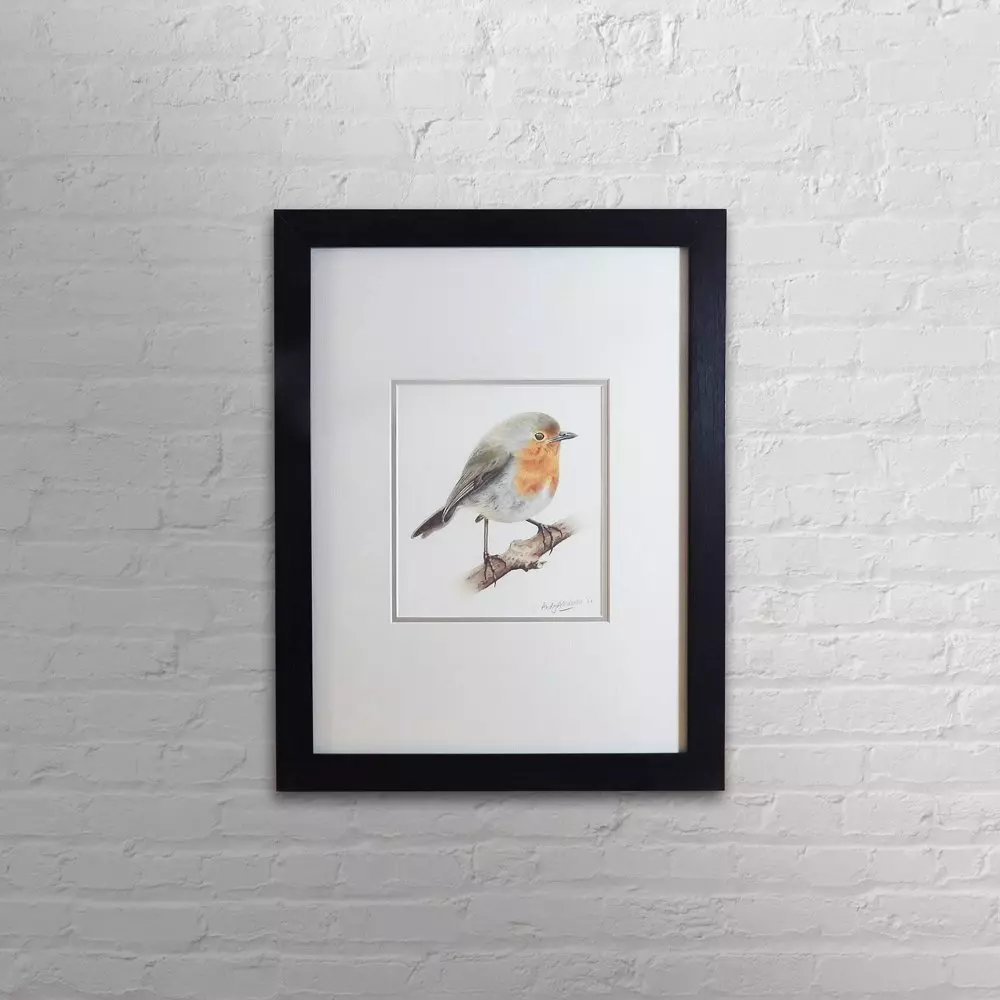 Robin Framed Original